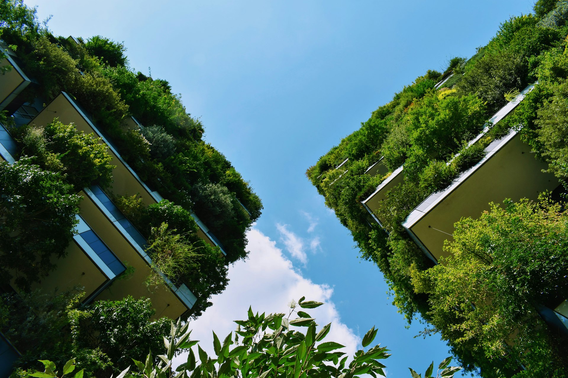 Strategic Sustainability — Biophilic architecture integrating nature into urban design